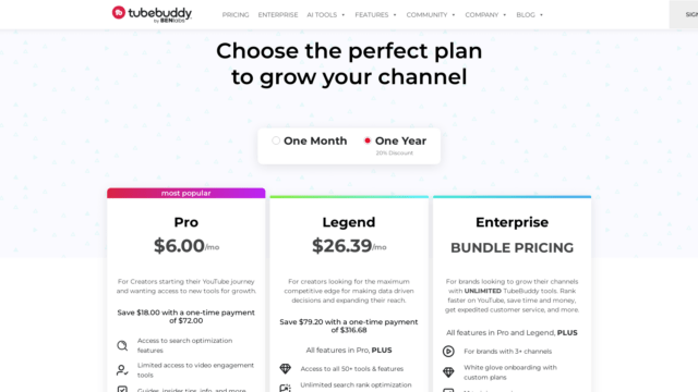 www_tubebuddy_com_pricing_a_aimarketingreviews_fdf8c28a6621.png